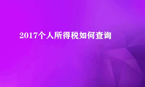 2017个人所得税如何查询