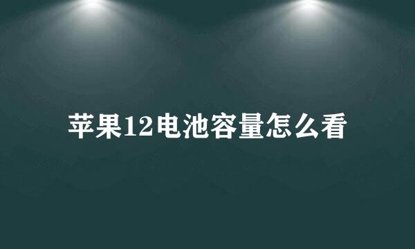 苹果12电池容量怎么看