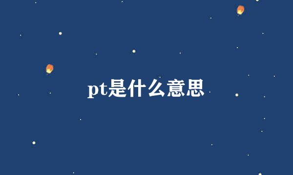 pt是什么意思