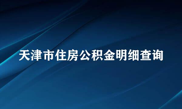 天津市住房公积金明细查询