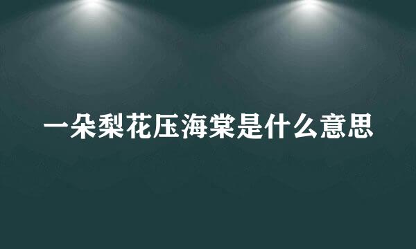 一朵梨花压海棠是什么意思