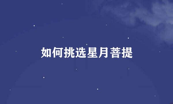 如何挑选星月菩提