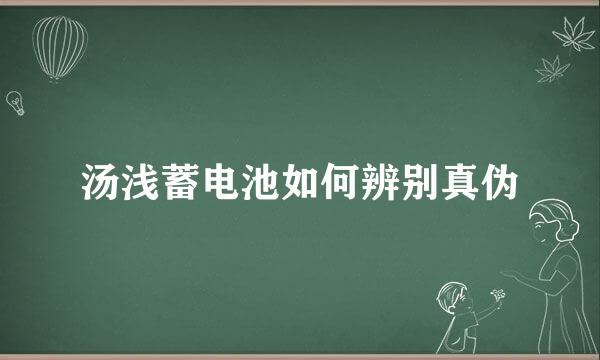 汤浅蓄电池如何辨别真伪