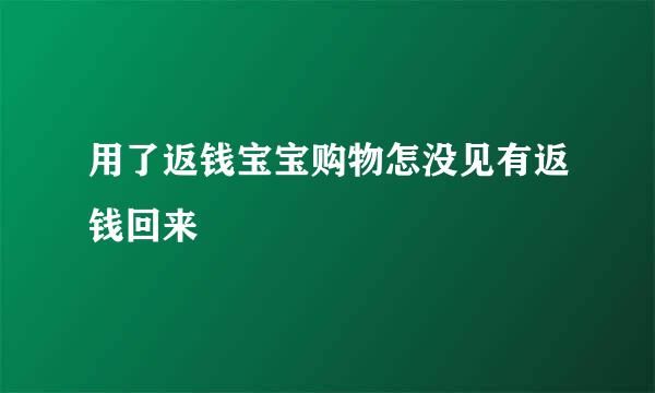 用了返钱宝宝购物怎没见有返钱回来