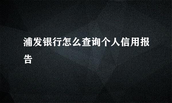 浦发银行怎么查询个人信用报告