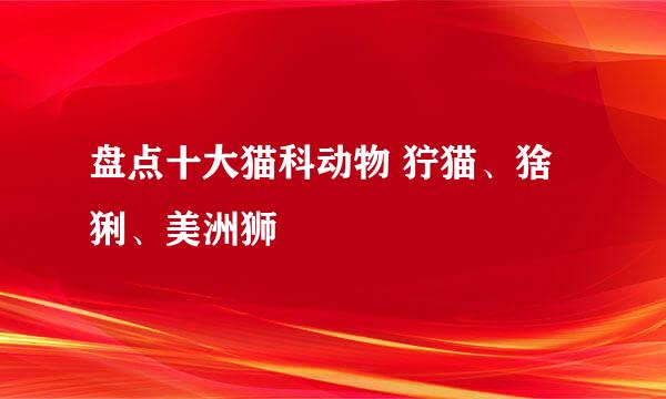 盘点十大猫科动物 狞猫、猞猁、美洲狮