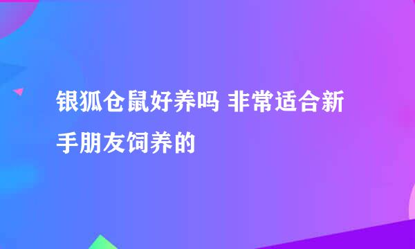 银狐仓鼠好养吗 非常适合新手朋友饲养的