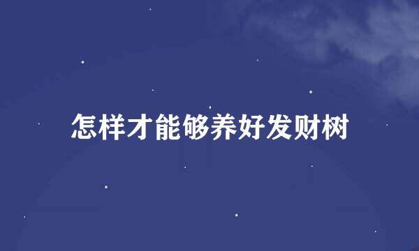 怎样才能够养好发财树