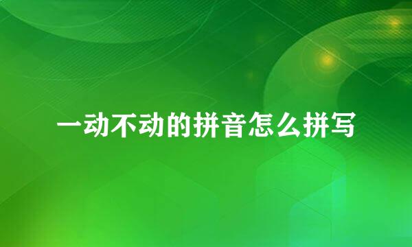 一动不动的拼音怎么拼写