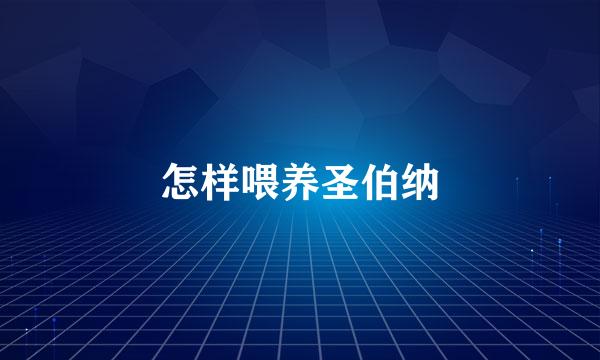 怎样喂养圣伯纳