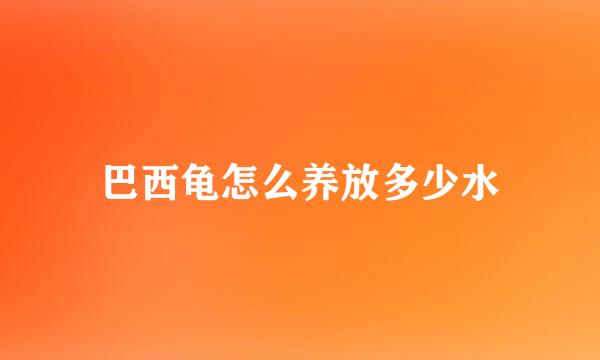 巴西龟怎么养放多少水