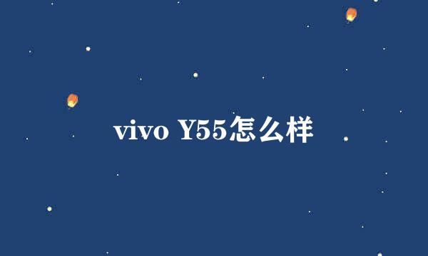 vivo Y55怎么样