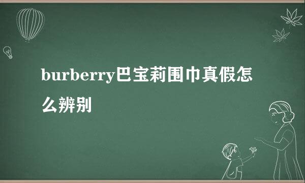 burberry巴宝莉围巾真假怎么辨别