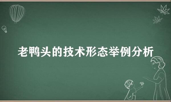 老鸭头的技术形态举例分析