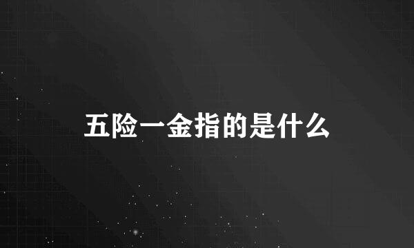 五险一金指的是什么