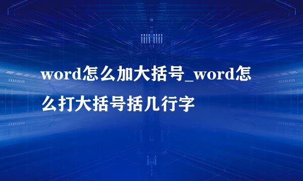 word怎么加大括号_word怎么打大括号括几行字