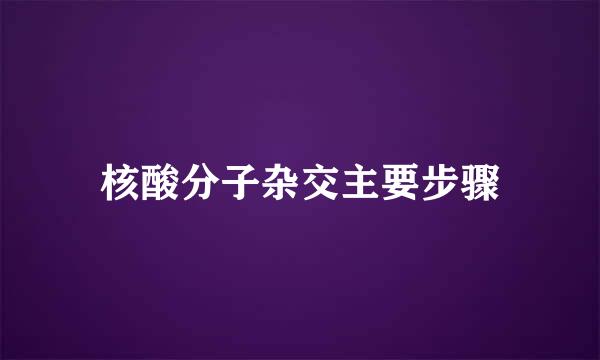 核酸分子杂交主要步骤