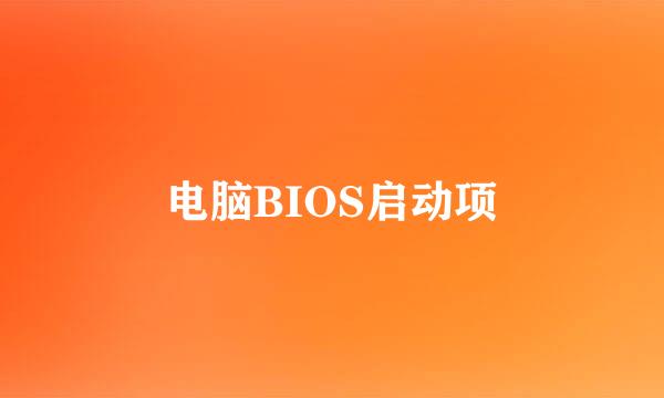 电脑BIOS启动项