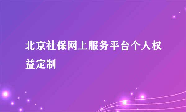 北京社保网上服务平台个人权益定制