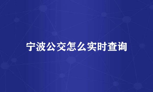 宁波公交怎么实时查询