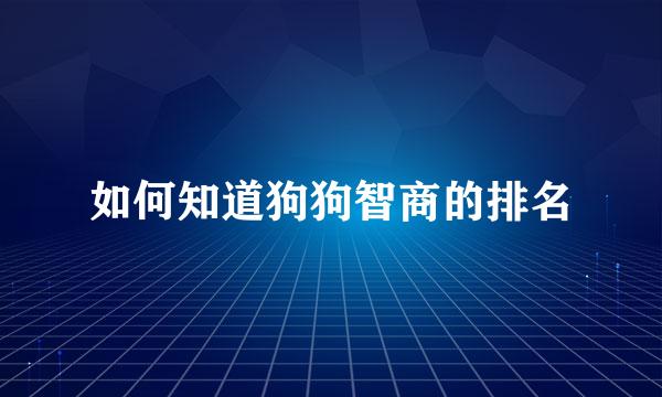 如何知道狗狗智商的排名