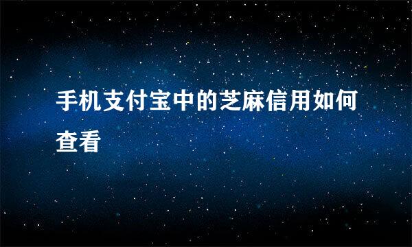 手机支付宝中的芝麻信用如何查看