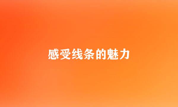 感受线条的魅力