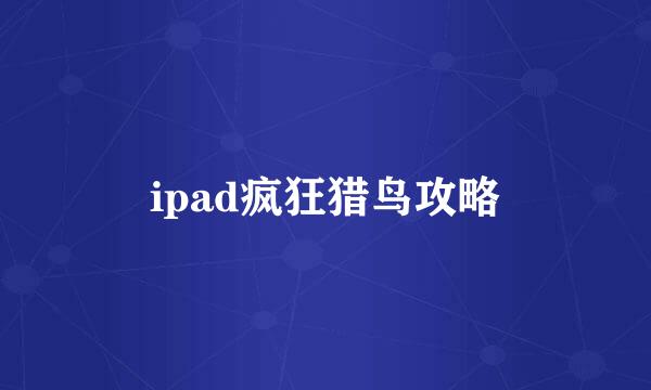 ipad疯狂猎鸟攻略