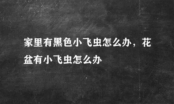 家里有黑色小飞虫怎么办，花盆有小飞虫怎么办