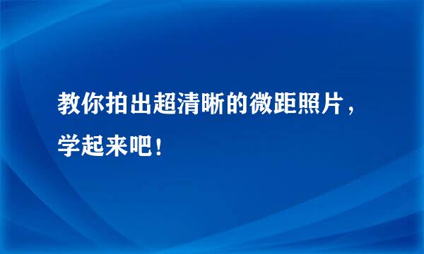 教你拍出超清晰的微距照片，学起来吧！