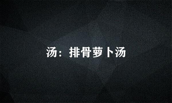 汤：排骨萝卜汤