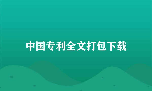 中国专利全文打包下载