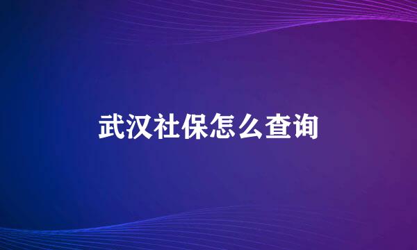 武汉社保怎么查询