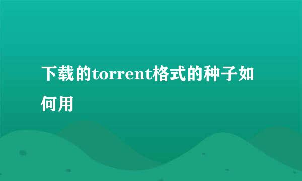 下载的torrent格式的种子如何用