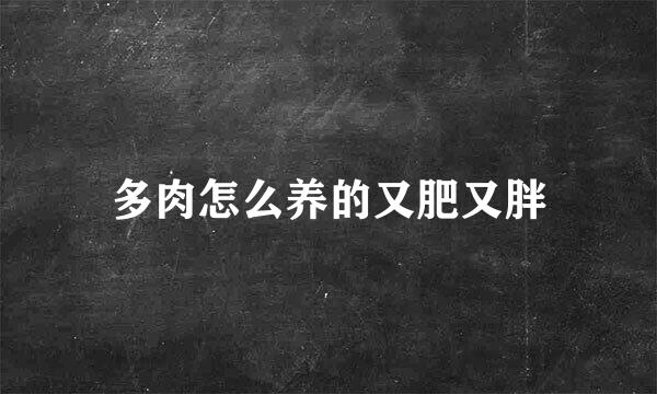 多肉怎么养的又肥又胖