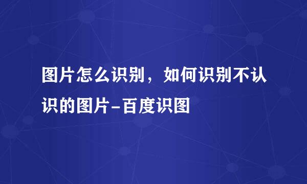 图片怎么识别，如何识别不认识的图片-百度识图