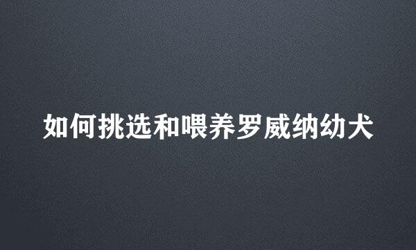 如何挑选和喂养罗威纳幼犬