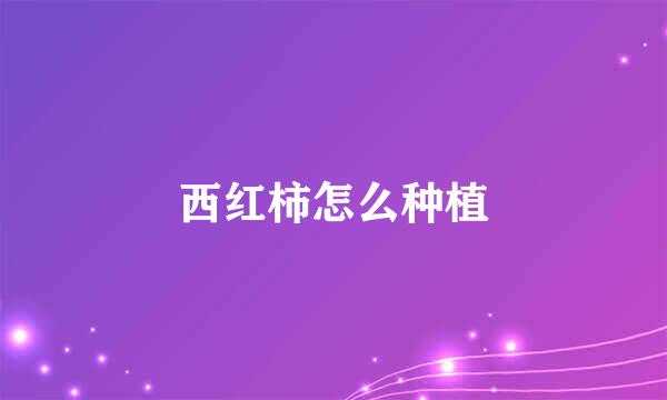 西红柿怎么种植