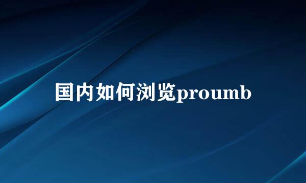 国内如何浏览proumb