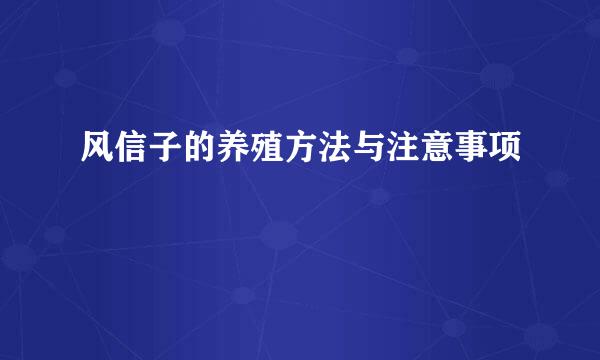 风信子的养殖方法与注意事项