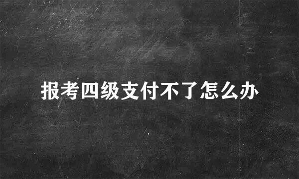 报考四级支付不了怎么办