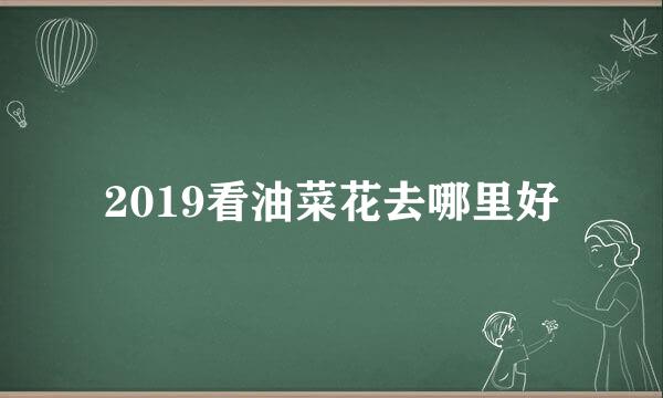 2019看油菜花去哪里好