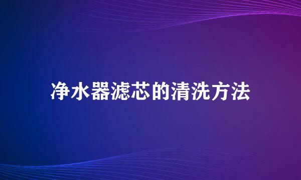 净水器滤芯的清洗方法