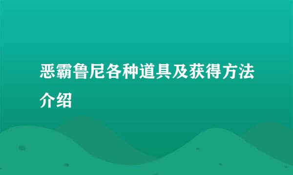 恶霸鲁尼各种道具及获得方法介绍