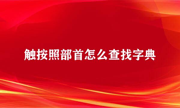 触按照部首怎么查找字典