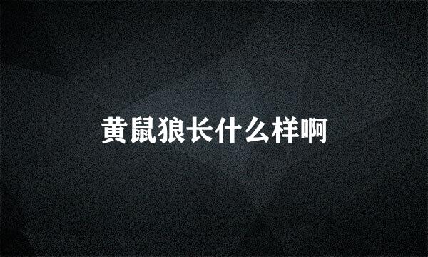 黄鼠狼长什么样啊