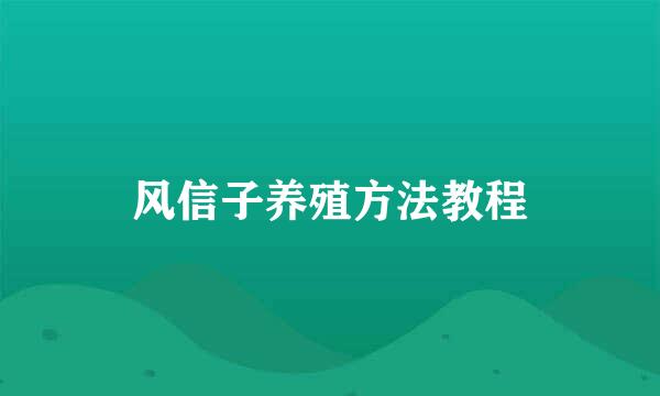 风信子养殖方法教程