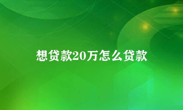 想贷款20万怎么贷款