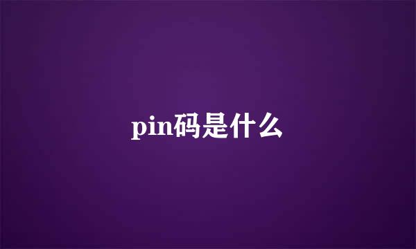 pin码是什么