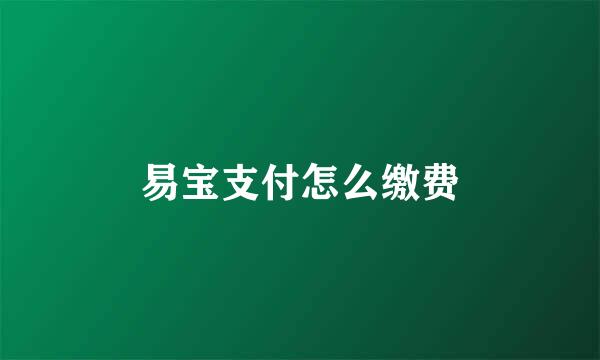 易宝支付怎么缴费